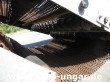 CanicaS - T170 H Beachcleaner Strandreiniger Kässbohrer Beachtech paplūdimio valytojas Sandreinigung