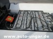 Dupon - Euroglass Elektra 80V IceResurfacer Elektro Eisbearbeitungsmaschine Zamboni