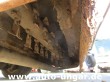 Amazone - PH1250 Profihopper 4WDi Baujahr 2018 Diesel Mulcher Mäher 1.410 Std.